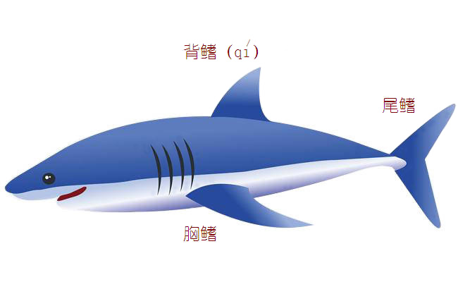 力强环保